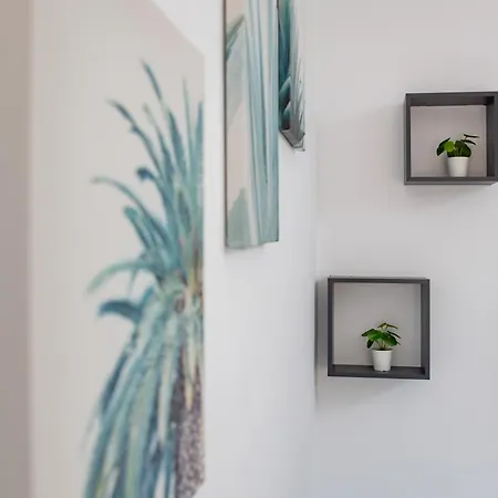 Du Soleil * Lloret de Mar