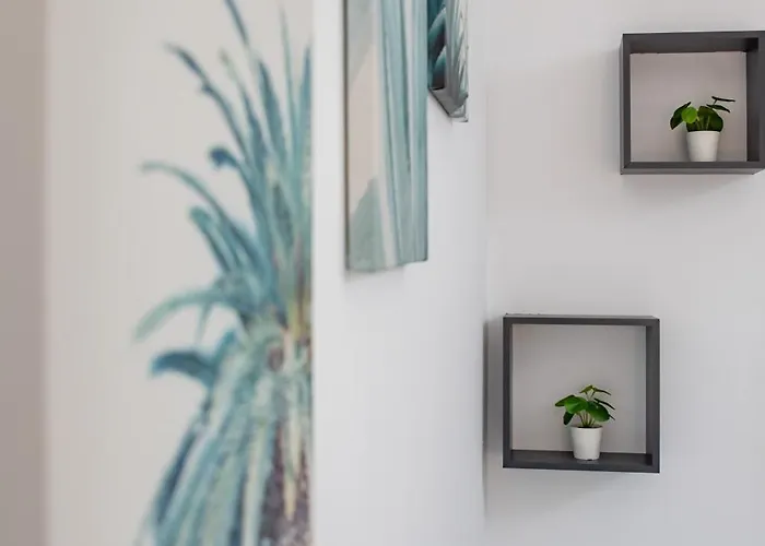 Du Soleil * 료렛 드 마르